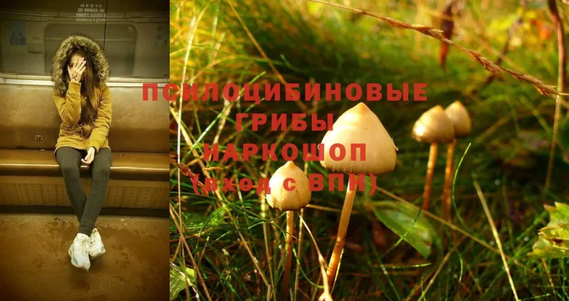 Галлюциногенные грибы MAGIC MUSHROOMS Златоуст